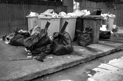 Factors affecting skip rental prices in Edmonton